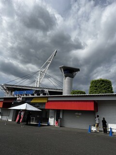 %e6%a1%90%e7%94%9f%e5%a4%96%e8%a6%b3