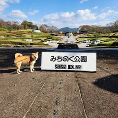 %e7%b4%b0%e5%b7%9d%e3%80%80%e7%94%b1%e9%a6%99%e9%87%8c_2025-11-01_11-34-37_96