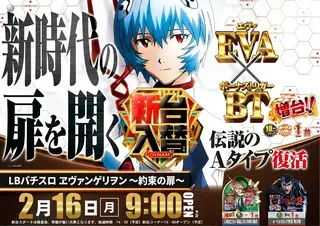 216_ae260129-0289dmm_order_png