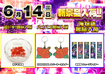 Order_ae260602-0982_order_png