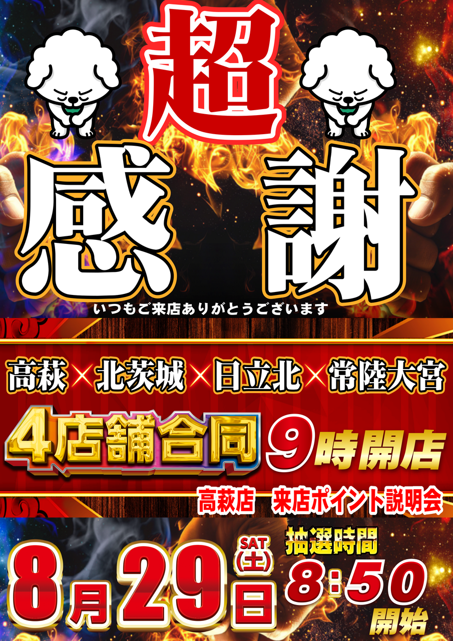 Order_ae260817-0270_order_png