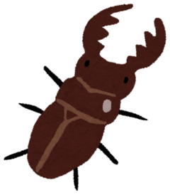 Mushi_kuwagata