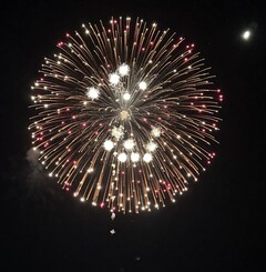 (sm)%e5%a4%a7%e7%86%8a%e3%80%80%e6%9a%a2%e6%95%8f_2025-12-09_17-44-49_269